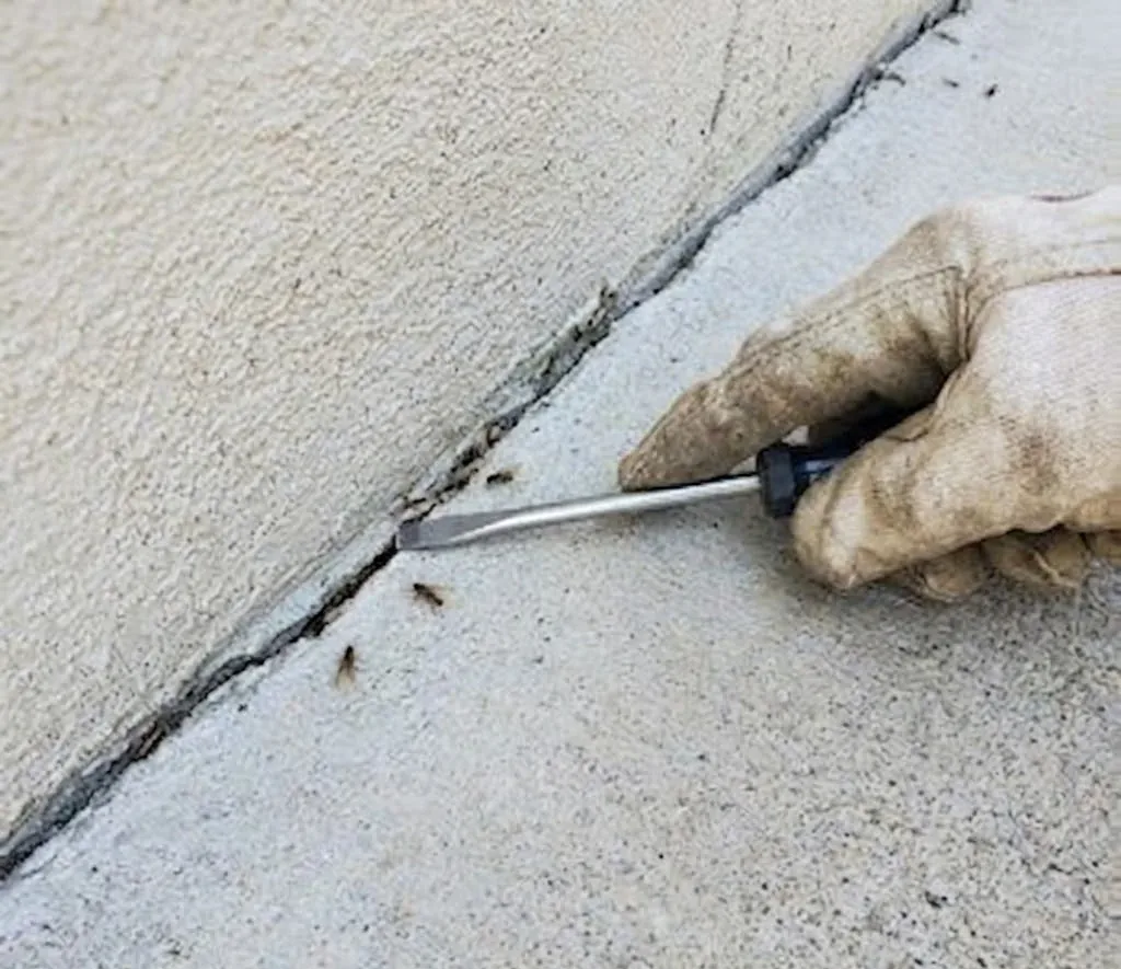 Termite control services in South Fulton, GA