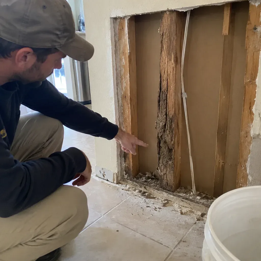 Termite Inspection service in South Fulton, GA